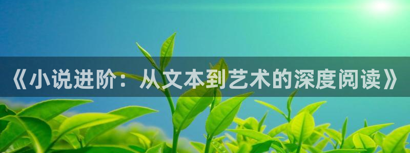 御宅屋(御书屋：《小说进阶：从文本到艺术的深度阅读》