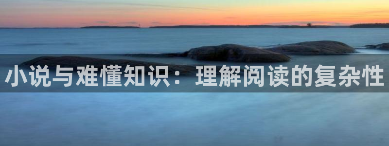 御书屋网站：小说与难懂知识：理解阅读的复杂性