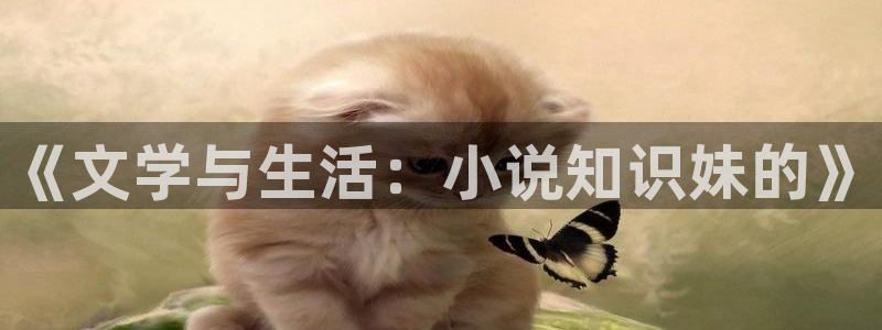 海棠书屋_新御宅屋_御书屋下载：《文学与生活：小说知识妹的》